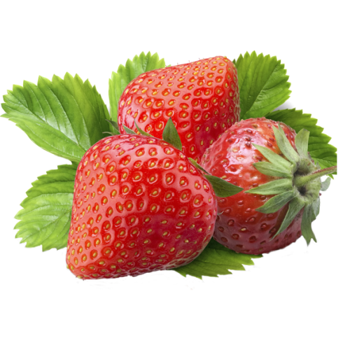 توت فرنگی ارگانیک بسته بندی