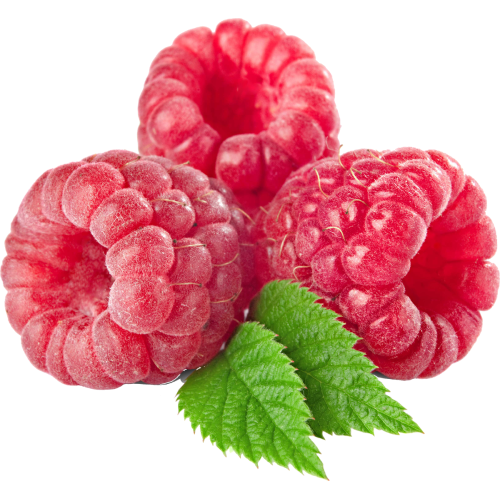 تمشک کوهی آبدار درجه یک