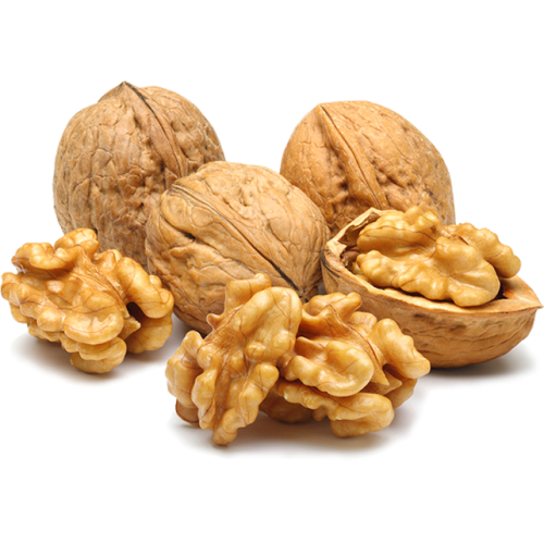 گردو تازه سفید درجه یک